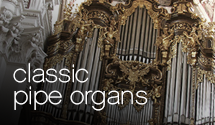 Rotate_Organ